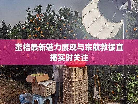 蜜桔最新魅力展现与东航救援直播实时关注