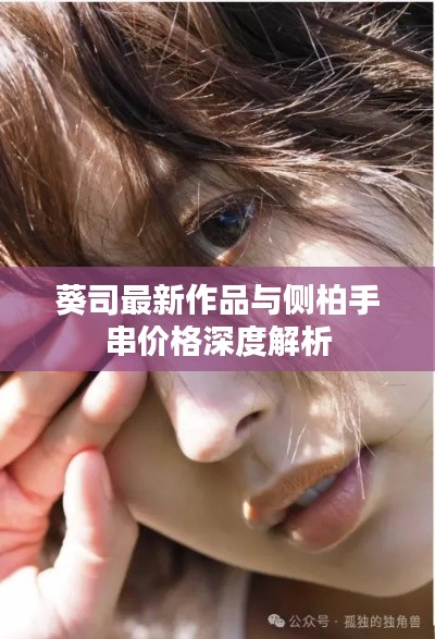 葵司最新作品与侧柏手串价格深度解析