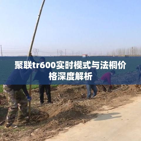 聚联tr600实时模式与法桐价格深度解析