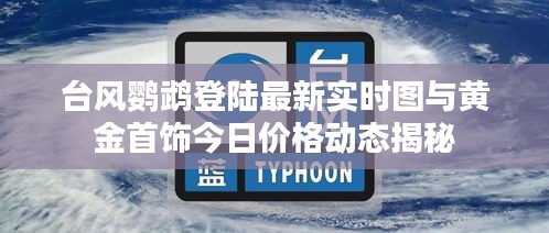 台风鹦鹉登陆最新实时图与黄金首饰今日价格动态揭秘