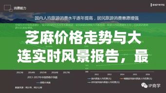 芝麻价格走势与大连实时风景报告,最新行情深度解析(2018版)