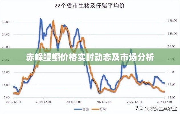 赤峰鳗鲡价格实时动态及市场分析