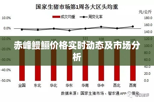 赤峰鳗鲡价格实时动态及市场分析