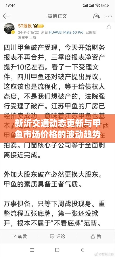 新沂交通动态更新与甲鱼市场价格的波动趋势分析