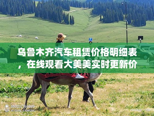 乌鲁木齐汽车租赁价格明细表,在线观看大美美实时更新价格