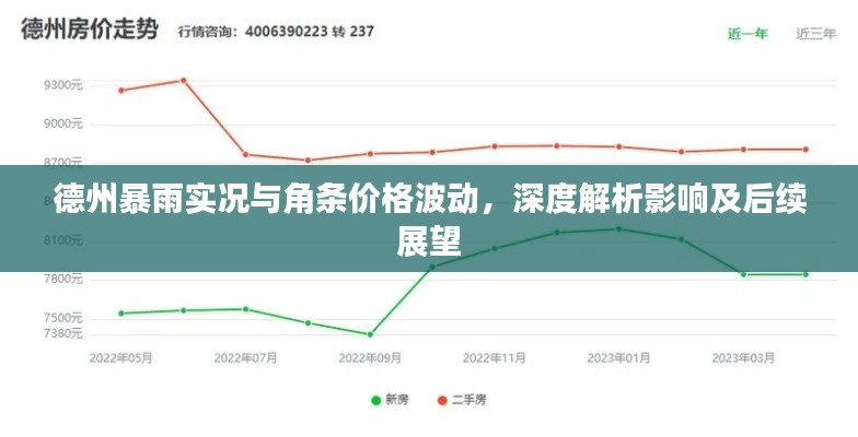 德州暴雨实况与角条价格波动,深度解析影响及后续展望