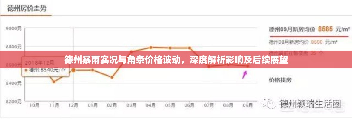 德州暴雨实况与角条价格波动,深度解析影响及后续展望