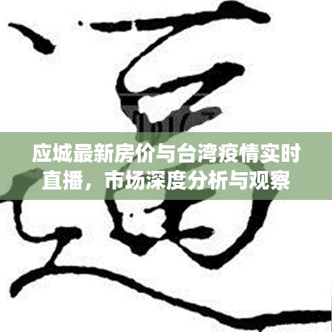应城最新房价与台湾疫情实时直播，市场深度分析与观察