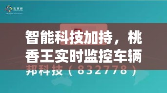 智能科技加持,桃香王实时监控车辆,新型管理体验与价格揭秘