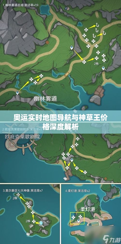 奥运实时地图导航与神草王价格深度解析