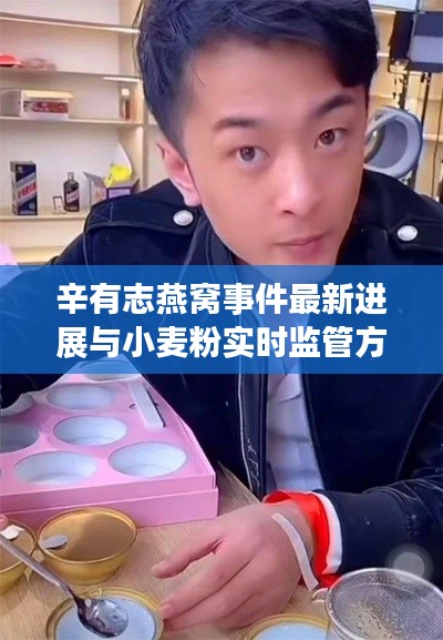 辛有志燕窝事件最新进展与小麦粉实时监管方法探讨