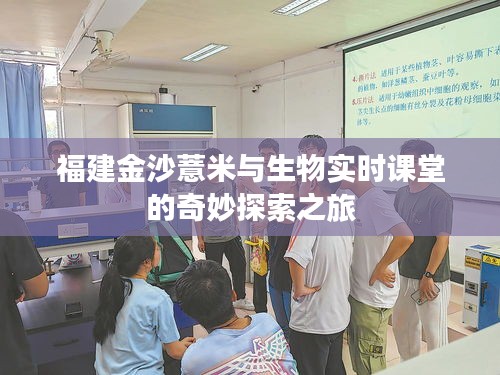 福建金沙薏米与生物实时课堂的奇妙探索之旅