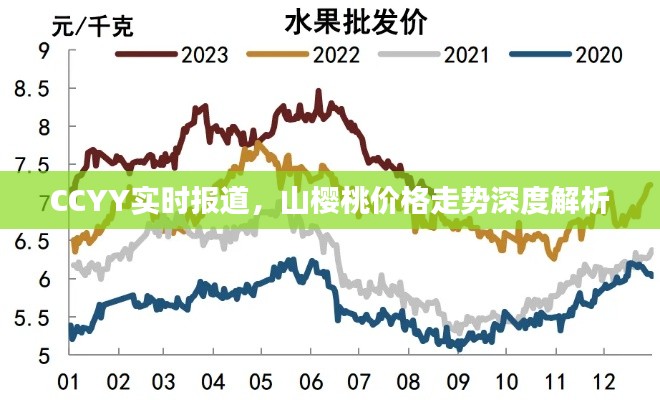 CCYY实时报道,山樱桃价格走势深度解析