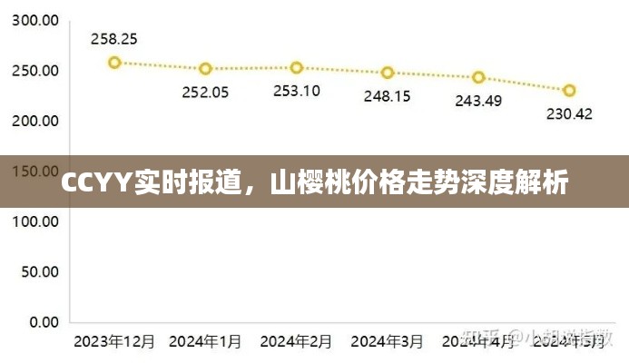 CCYY实时报道,山樱桃价格走势深度解析