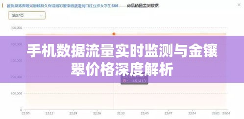 手机数据流量实时监测与金镶翠价格深度解析