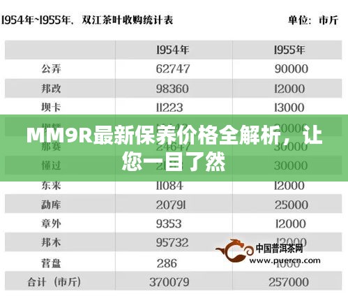 MM9R最新保养价格全解析,让您一目了然