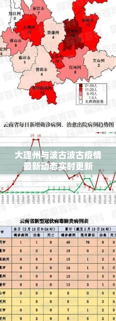 大理州与波古波古疫情最新动态实时更新