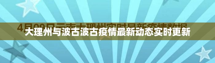 大理州与波古波古疫情最新动态实时更新