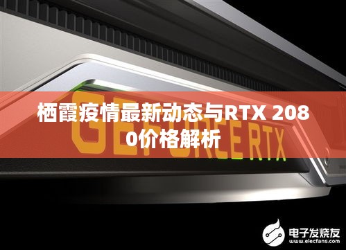 栖霞疫情最新动态与RTX 2080价格解析