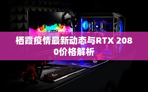 栖霞疫情最新动态与RTX 2080价格解析