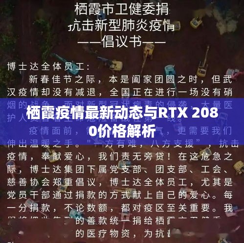栖霞疫情最新动态与RTX 2080价格解析