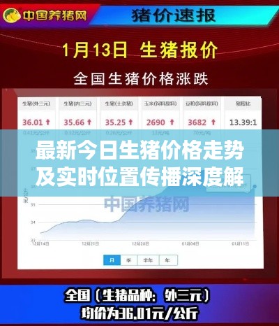 最新今日生猪价格走势及实时位置传播深度解析