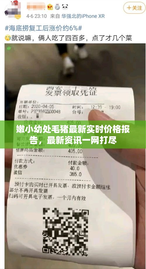 嫩小幼处毛猪最新实时价格报告,最新资讯一网打尽