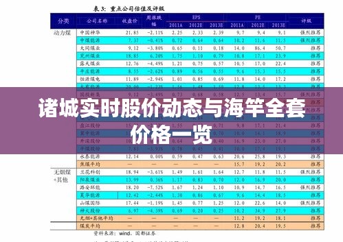 诸城实时股价动态与海竿全套价格一览
