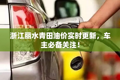 浙江丽水青田油价实时更新,车主必备关注!