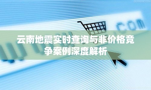 云南地震实时查询与非价格竞争案例深度解析