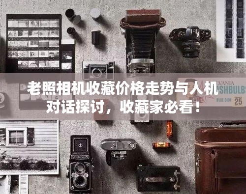老照相机收藏价格走势与人机对话探讨,收藏家必看!