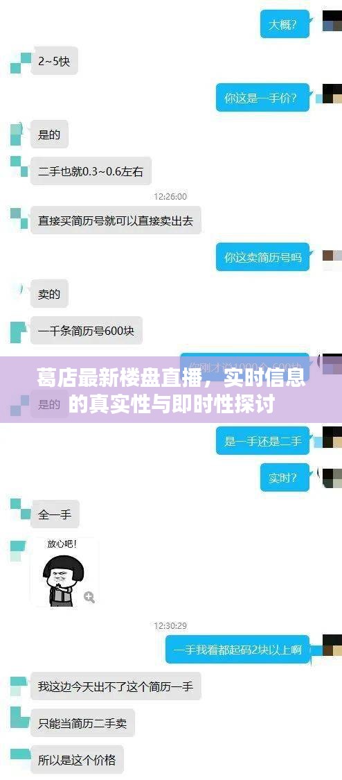 葛店最新楼盘直播,实时信息的真实性与即时性探讨