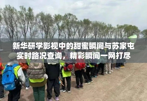 新华研学影视中的甜蜜瞬间与苏家屯实时路况查询,精彩瞬间一网打尽