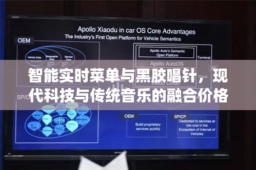 智能实时菜单与黑胶唱针,现代科技与传统音乐的融合价格揭秘