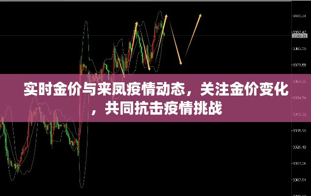 实时金价与来凤疫情动态,关注金价变化,共同抗击疫情挑战
