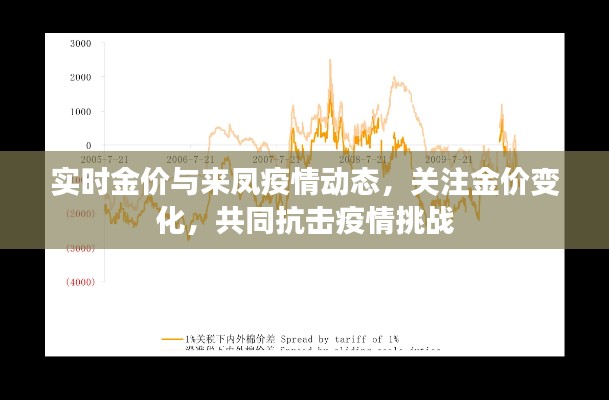 实时金价与来凤疫情动态,关注金价变化,共同抗击疫情挑战