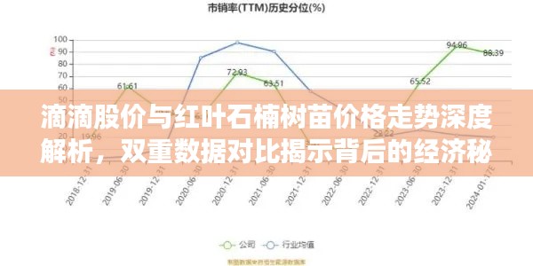 滴滴股价与红叶石楠树苗价格走势深度解析,双重数据对比揭示背后的经济秘密