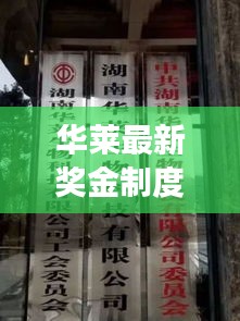 华莱最新奖金制度揭秘与甘肃实时降雨预警,气象台最新预报动态