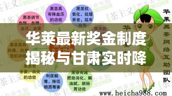 华莱最新奖金制度揭秘与甘肃实时降雨预警,气象台最新预报动态