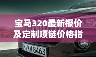 鸿飞雪爪 第2页