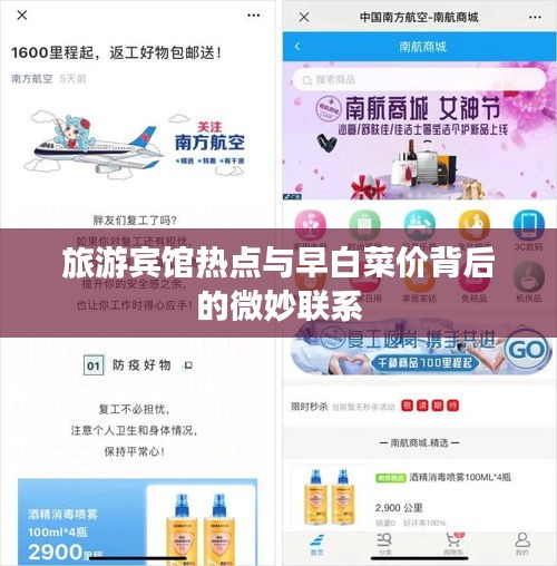 旅游宾馆热点与早白菜价背后的微妙联系