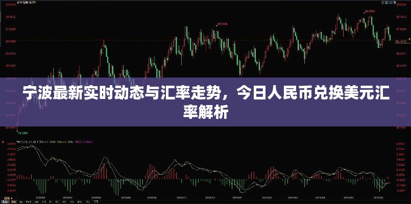 宁波最新实时动态与汇率走势,今日人民币兑换美元汇率解析