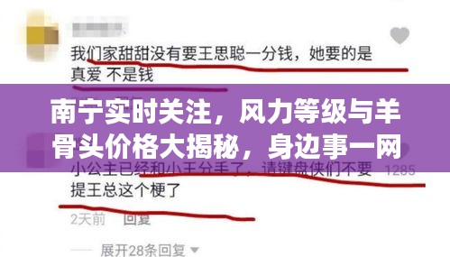 南宁实时关注,风力等级与羊骨头价格大揭秘,身边事一网打尽