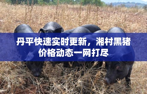 富贵凝香 第2页