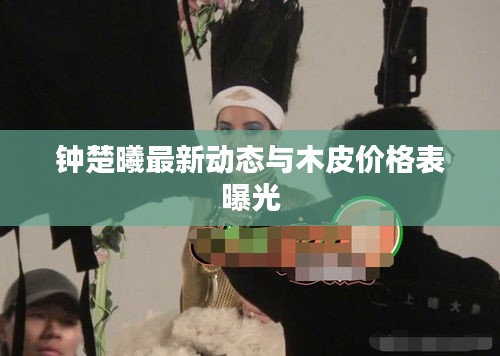 钟楚曦最新动态与木皮价格表曝光