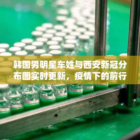 韩国男明星车姓与西安新冠分布图实时更新,疫情下的前行与关注