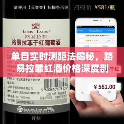 单目实时测距法揭秘,路易拉菲红酒价格深度剖析