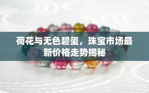 荷花与无色碧玺，珠宝市场最新价格走势揭秘