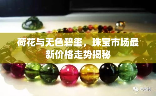 荷花与无色碧玺,珠宝市场最新价格走势揭秘