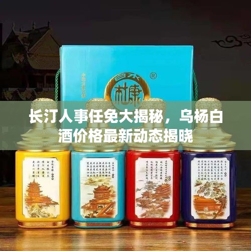 夯雀儿先飞 第2页